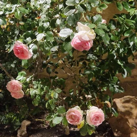 Couette-café Charm & Folie *